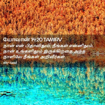 Picture 02 - யோவான் 14:20 TAMIRV - நான் என் - Bible Verse Picture