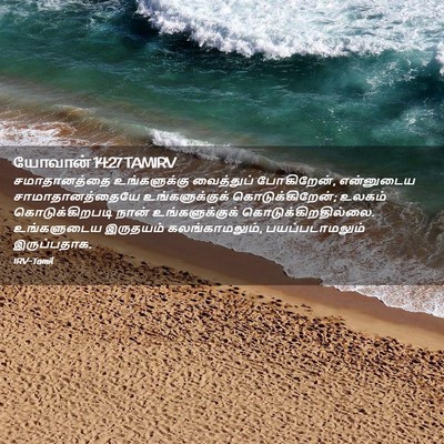 Picture 02 - யோவான் 14:27 TAMIRV - சமாதானத்தை - Bible Verse Picture