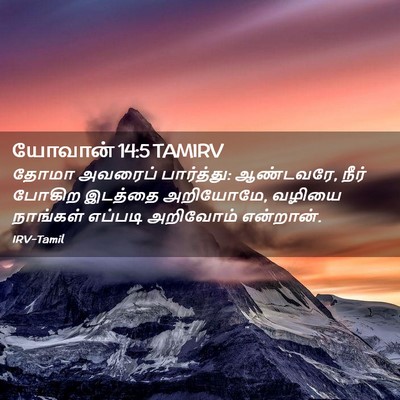 Picture 02 - யோவான் 14:5 TAMIRV - தோமா அவரைப் - Bible Verse Picture