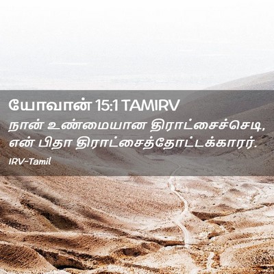 Picture 02 - யோவான் 15:1 TAMIRV - நான் உண்மையான - Bible Verse Picture