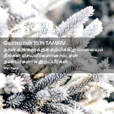 Picture 02 - யோவான் 15:14 TAMIRV - நான் உங்களுக்குக் - Bible Verse Picture
