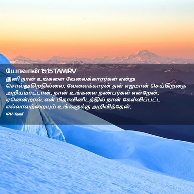 Picture 02 - யோவான் 15:15 TAMIRV - இனி நான் உங்களை - Bible Verse Picture