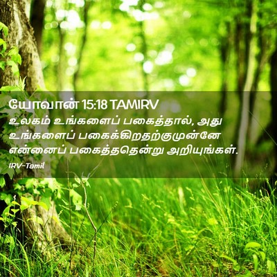 Picture 02 - யோவான் 15:18 TAMIRV - உலகம் உங்களைப் - Bible Verse Picture
