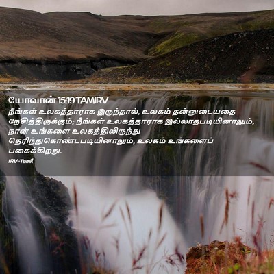Picture 02 - யோவான் 15:19 TAMIRV - நீங்கள் - Bible Verse Picture