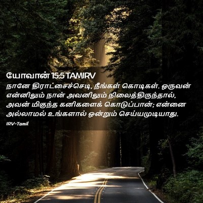 Picture 02 - யோவான் 15:5 TAMIRV - நானே - Bible Verse Picture
