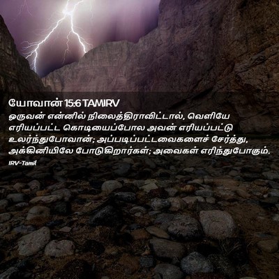 Picture 02 - யோவான் 15:6 TAMIRV - ஒருவன் என்னில் - Bible Verse Picture