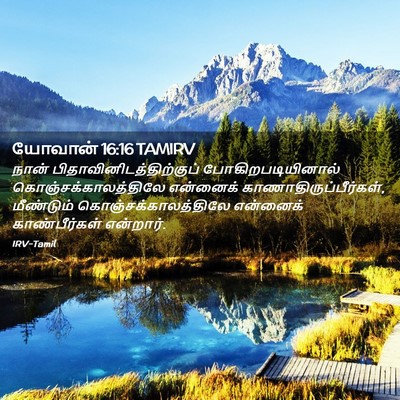 Picture 02 - யோவான் 16:16 TAMIRV - நான் - Bible Verse Picture