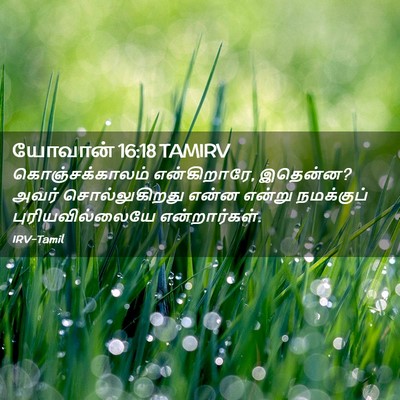 Picture 02 - யோவான் 16:18 TAMIRV - கொஞ்சக்காலம் - Bible Verse Picture