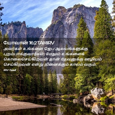 Picture 02 - யோவான் 16:2 TAMIRV - அவர்கள் உங்களை - Bible Verse Picture