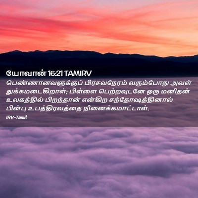 Picture 02 - யோவான் 16:21 TAMIRV - பெண்ணானவளுக்குப் - Bible Verse Picture