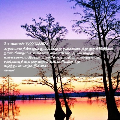 Picture 02 - யோவான் 16:22 TAMIRV - அதுபோல நீங்களும் - Bible Verse Picture