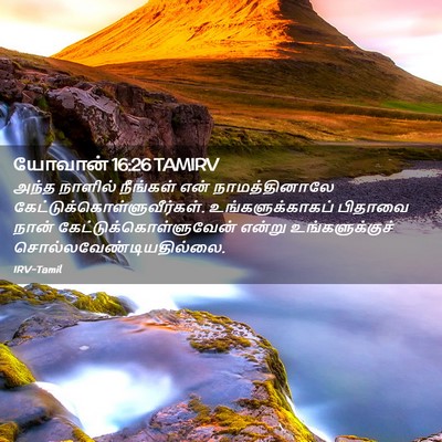 Picture 02 - யோவான் 16:26 TAMIRV - அந்த நாளில் - Bible Verse Picture