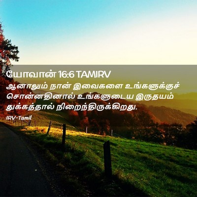 Picture 02 - யோவான் 16:6 TAMIRV - ஆனாலும் நான் - Bible Verse Picture