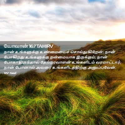 Picture 02 - யோவான் 16:7 TAMIRV - நான் உங்களுக்கு - Bible Verse Picture