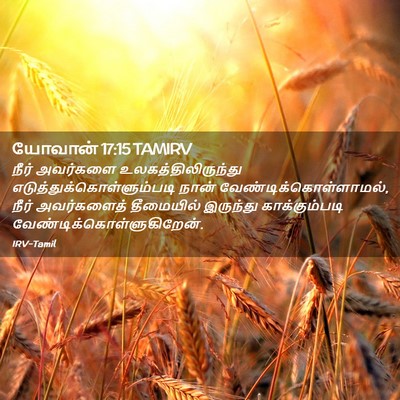 Picture 02 - யோவான் 17:15 TAMIRV - நீர் அவர்களை - Bible Verse Picture