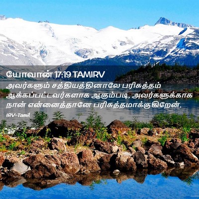 Picture 02 - யோவான் 17:19 TAMIRV - அவர்களும் - Bible Verse Picture
