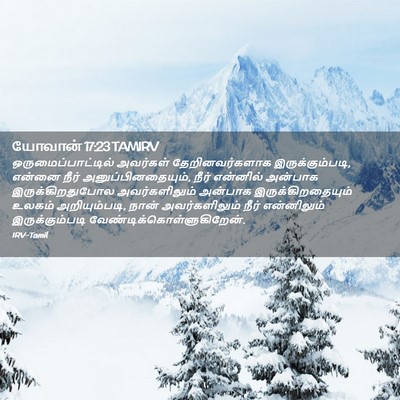 Picture 02 - யோவான் 17:23 TAMIRV - ஒருமைப்பாட்டில் - Bible Verse Picture