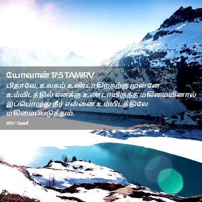 Picture 02 - யோவான் 17:5 TAMIRV - பிதாவே, உலகம் - Bible Verse Picture