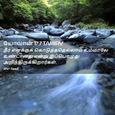 Picture 02 - யோவான் 17:7 TAMIRV - நீர் எனக்குக் - Bible Verse Picture