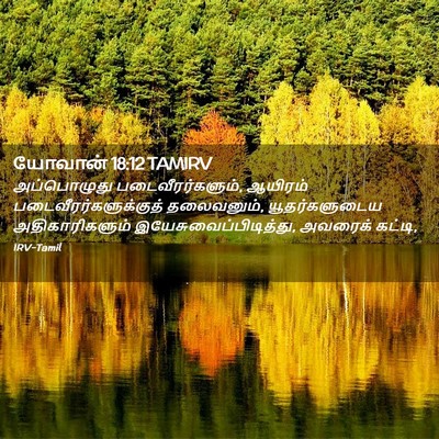 Picture 02 - யோவான் 18:12 TAMIRV - அப்பொழுது - Bible Verse Picture