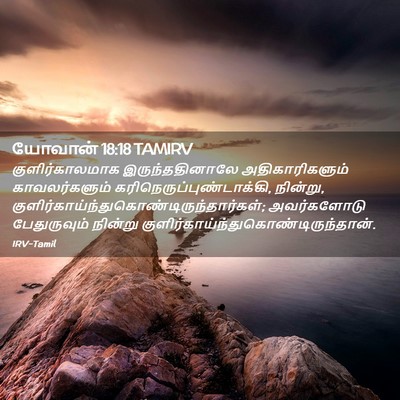 Picture 02 - யோவான் 18:18 TAMIRV - குளிர்காலமாக - Bible Verse Picture