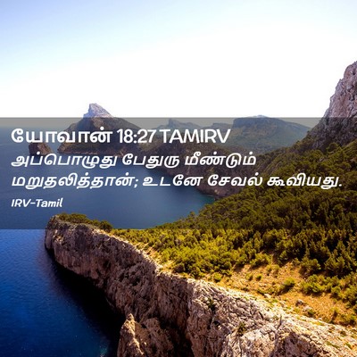 Picture 02 - யோவான் 18:27 TAMIRV - அப்பொழுது பேதுரு - Bible Verse Picture