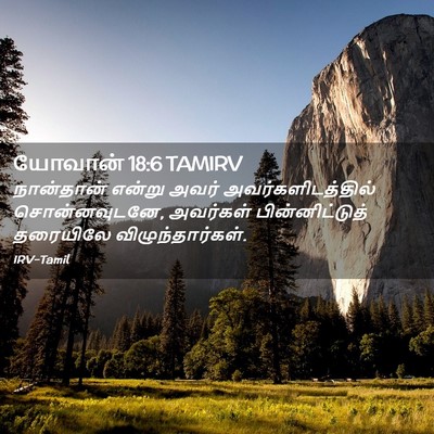 Picture 02 - யோவான் 18:6 TAMIRV - நான்தான் என்று - Bible Verse Picture