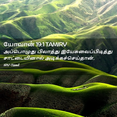 Picture 02 - யோவான் 19:1 TAMIRV - அப்பொழுது - Bible Verse Picture