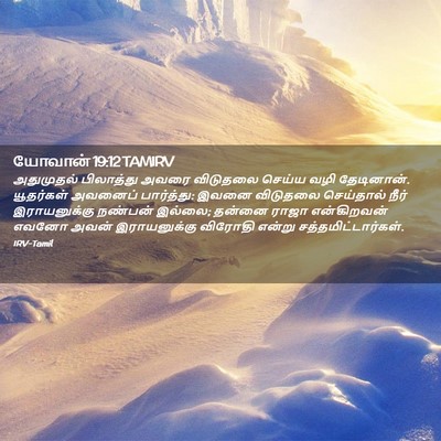 Picture 02 - யோவான் 19:12 TAMIRV - அதுமுதல் பிலாத்து - Bible Verse Picture