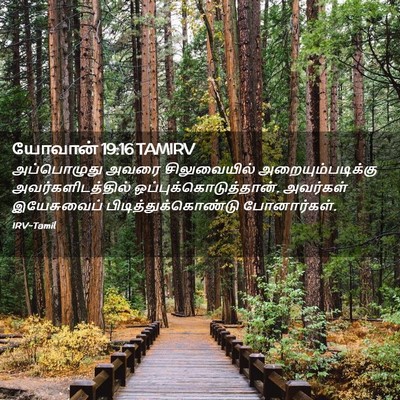 Picture 02 - யோவான் 19:16 TAMIRV - அப்பொழுது அவரை - Bible Verse Picture