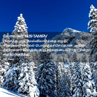 Picture 02 - யோவான் 19:19 TAMIRV - பிலாத்து ஒரு - Bible Verse Picture