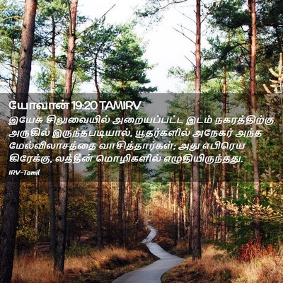 Picture 02 - யோவான் 19:20 TAMIRV - இயேசு சிலுவையில் - Bible Verse Picture