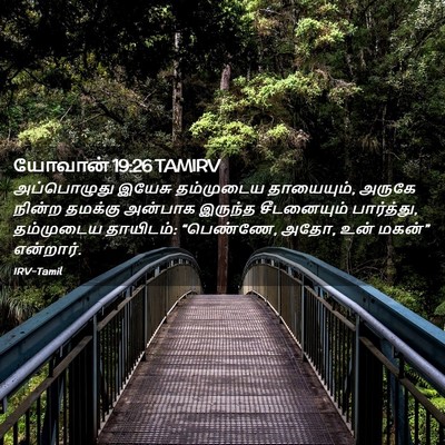 Picture 02 - யோவான் 19:26 TAMIRV - அப்பொழுது இயேசு - Bible Verse Picture
