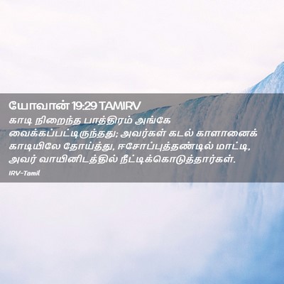 Picture 02 - யோவான் 19:29 TAMIRV - காடி நிறைந்த - Bible Verse Picture