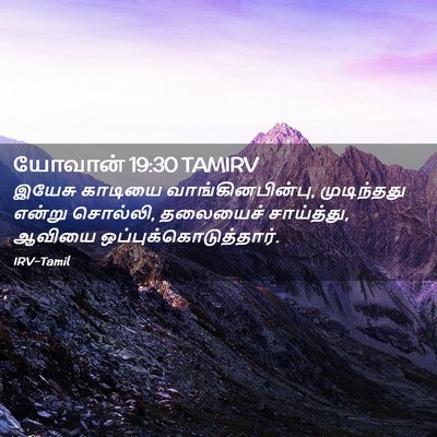 Picture 02 - யோவான் 19:30 TAMIRV - இயேசு காடியை - Bible Verse Picture