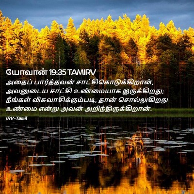 Picture 02 - யோவான் 19:35 TAMIRV - அதைப் பார்த்தவன் - Bible Verse Picture