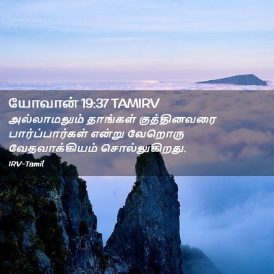 Picture 02 - யோவான் 19:37 TAMIRV - அல்லாமலும் - Bible Verse Picture