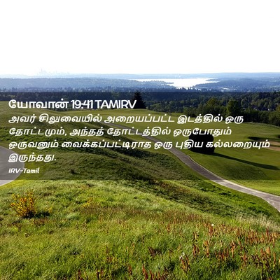 Picture 02 - யோவான் 19:41 TAMIRV - அவர் சிலுவையில் - Bible Verse Picture