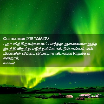 Picture 02 - யோவான் 2:16 TAMIRV - புறா - Bible Verse Picture