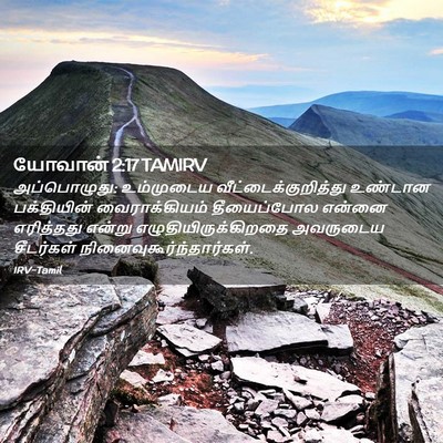 Picture 02 - யோவான் 2:17 TAMIRV - அப்பொழுது: - Bible Verse Picture