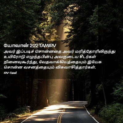Picture 02 - யோவான் 2:22 TAMIRV - அவர் இப்படிச் - Bible Verse Picture