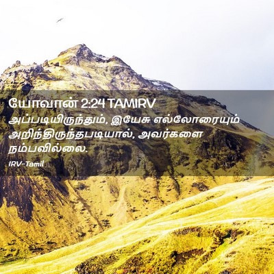 Picture 02 - யோவான் 2:24 TAMIRV - அப்படியிருந்தும், - Bible Verse Picture