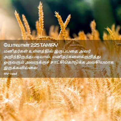 Picture 02 - யோவான் 2:25 TAMIRV - மனிதர்கள் - Bible Verse Picture