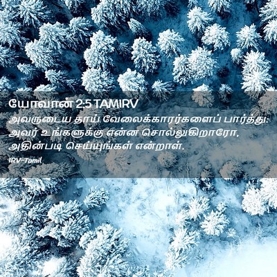 Picture 02 - யோவான் 2:5 TAMIRV - அவருடைய தாய் - Bible Verse Picture
