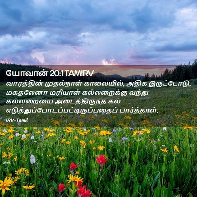 Picture 02 - யோவான் 20:1 TAMIRV - வாரத்தின் - Bible Verse Picture
