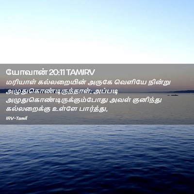 Picture 02 - யோவான் 20:11 TAMIRV - மரியாள் - Bible Verse Picture