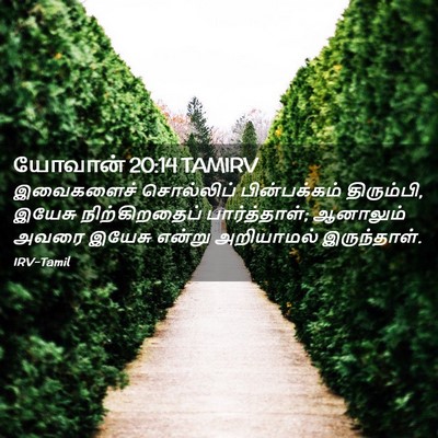 Picture 02 - யோவான் 20:14 TAMIRV - இவைகளைச் சொல்லிப் - Bible Verse Picture