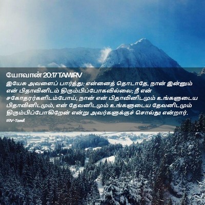 Picture 02 - யோவான் 20:17 TAMIRV - இயேசு அவளைப் - Bible Verse Picture