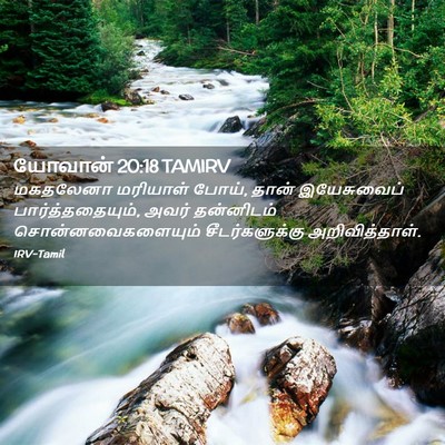 Picture 02 - யோவான் 20:18 TAMIRV - மகதலேனா மரியாள் - Bible Verse Picture