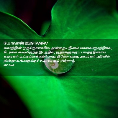 Picture 02 - யோவான் 20:19 TAMIRV - வாரத்தின் - Bible Verse Picture
